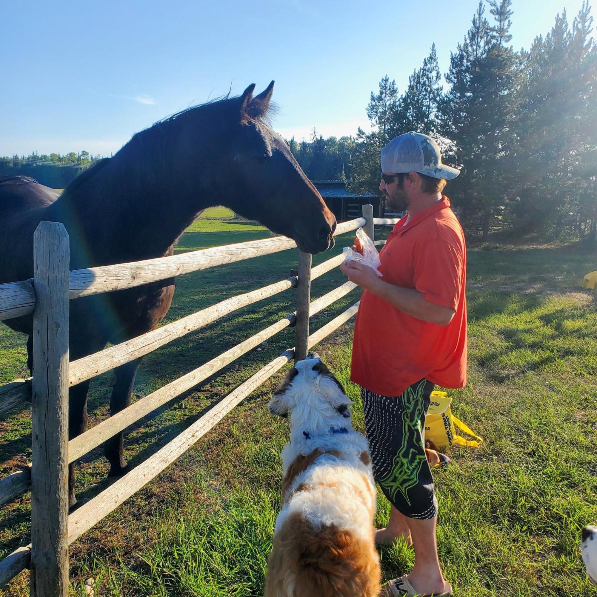 Woodhouse Cottages And Ranch Принс Джордж Екстериор снимка