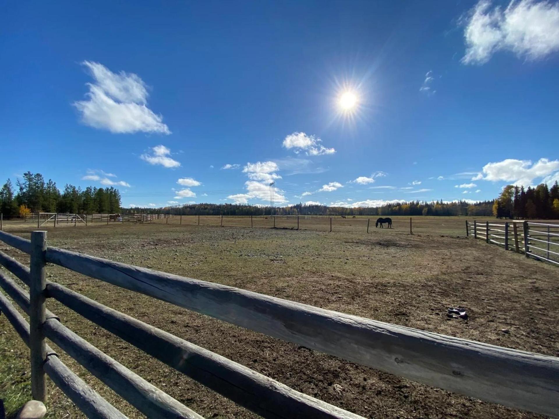 Woodhouse Cottages And Ranch Принс Джордж Екстериор снимка